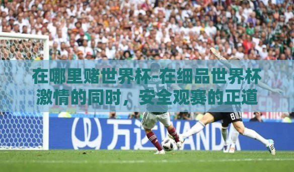 在哪里赌世界杯-在细品世界杯激情的同时，安全观赛的正道