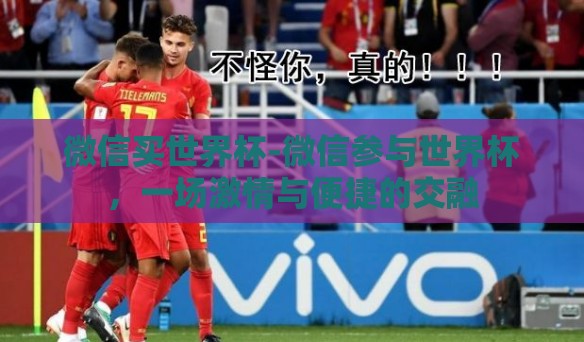微信买世界杯-微信参与世界杯，一场激情与便捷的交融