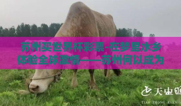 苏州买世界杯彩票-在梦里水乡体验全球激情——苏州何以成为世界杯彩票的温柔乡