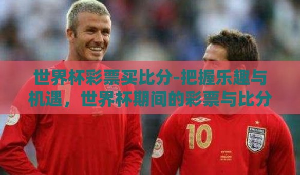 世界杯彩票买比分-把握乐趣与机遇，世界杯期间的彩票与比分