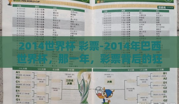 2014世界杯 彩票-2014年巴西世界杯，那一年，彩票背后的狂热与梦想