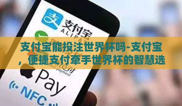 支付宝能投注世界杯吗-支付宝，便捷支付牵手世界杯的智慧选择