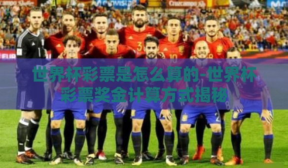世界杯彩票是怎么算的-世界杯彩票奖金计算方式揭秘