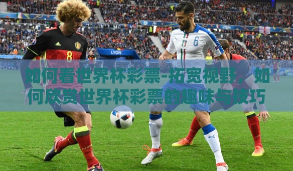 如何看世界杯彩票-拓宽视野，如何欣赏世界杯彩票的趣味与技巧