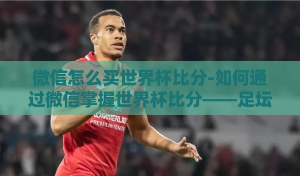 微信怎么买世界杯比分-如何通过微信掌握世界杯比分——足坛球迷的便捷指南