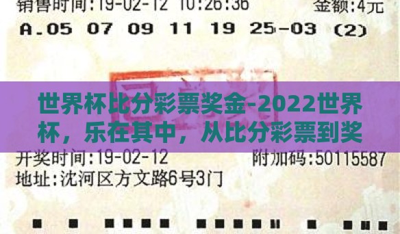 世界杯比分彩票奖金-2022世界杯，乐在其中，从比分彩票到奖金狂欢的旅程