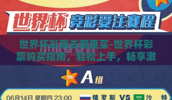 世界杯彩票去哪里买-世界杯彩票购买指南，轻松上手，畅享激情