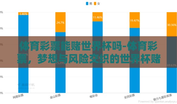 体育彩票能赌世界杯吗-体育彩票，梦想与风险交织的世界杯赌注