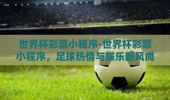 世界杯彩票小程序-世界杯彩票小程序，足球热情与娱乐新风尚