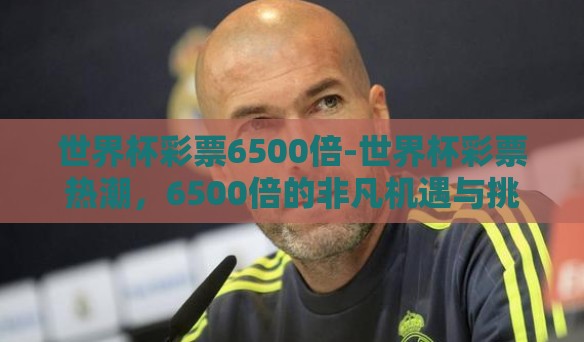 世界杯彩票6500倍-世界杯彩票热潮,6500倍的非凡机遇与挑战 世界杯彩票6500倍-世界杯彩票热潮,6500倍的非凡机遇与挑战
