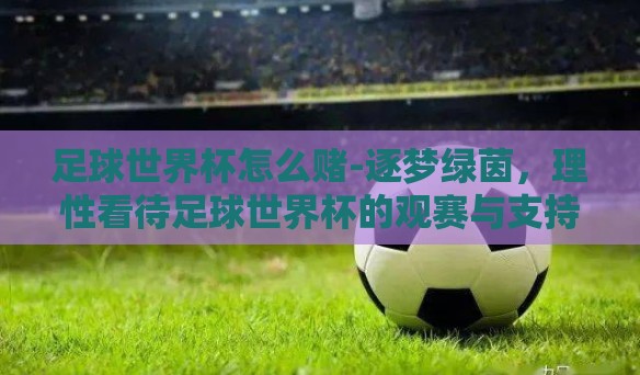 足球世界杯怎么赌-逐梦绿茵，理性看待足球世界杯的观赛与支持