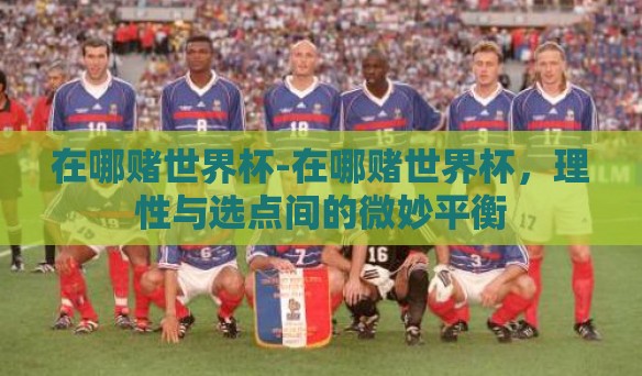 在哪赌世界杯-在哪赌世界杯，理性与选点间的微妙平衡