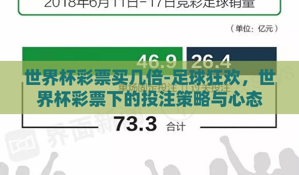 世界杯彩票买几倍-足球狂欢，世界杯彩票下的投注策略与心态